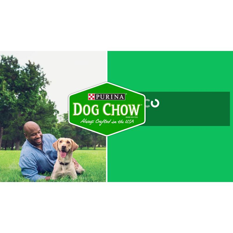 Purina Dog Chow with Real Chicken Adult Complete & Balanced Dry Dog Food - 4.4lbs