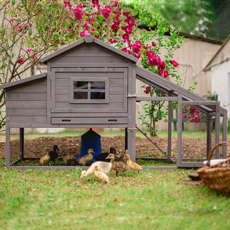 Aivituvin-AIR23-R Wooden Chicken Coop Red 67.3"(L)x26"(W)x39.4"(H)