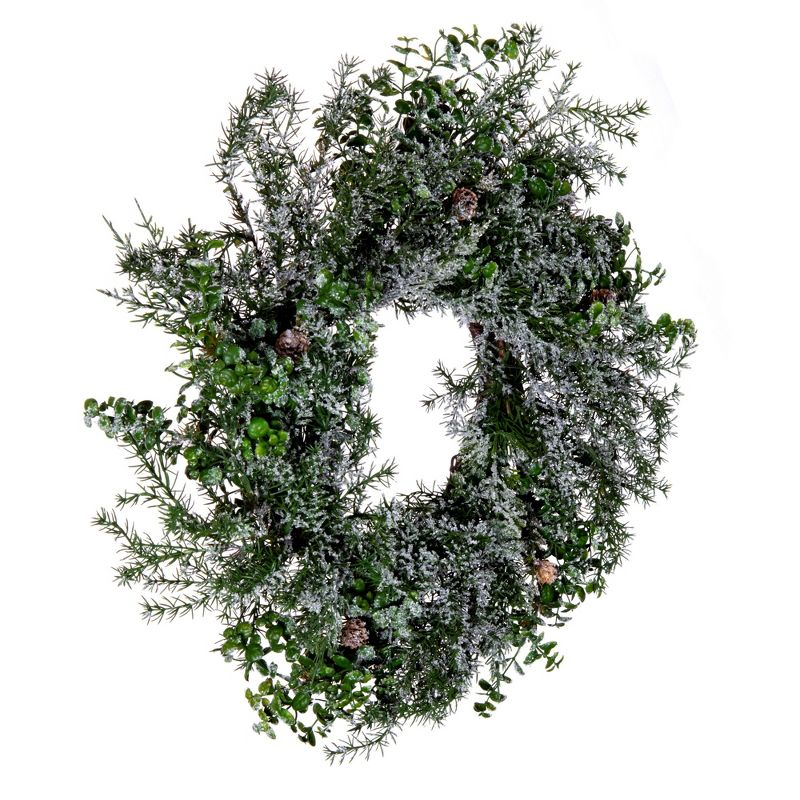 Vickerman 26" Artificial Green Snow Cedar and Eucalyptus Christmas Wreath, Unlit