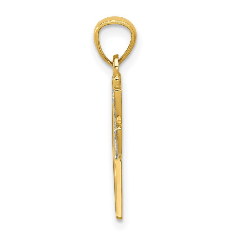 Black Bow Jewelry 14k Yellow Gold and White Rhodium Two Tone Dragonfly Pendant, 18mm