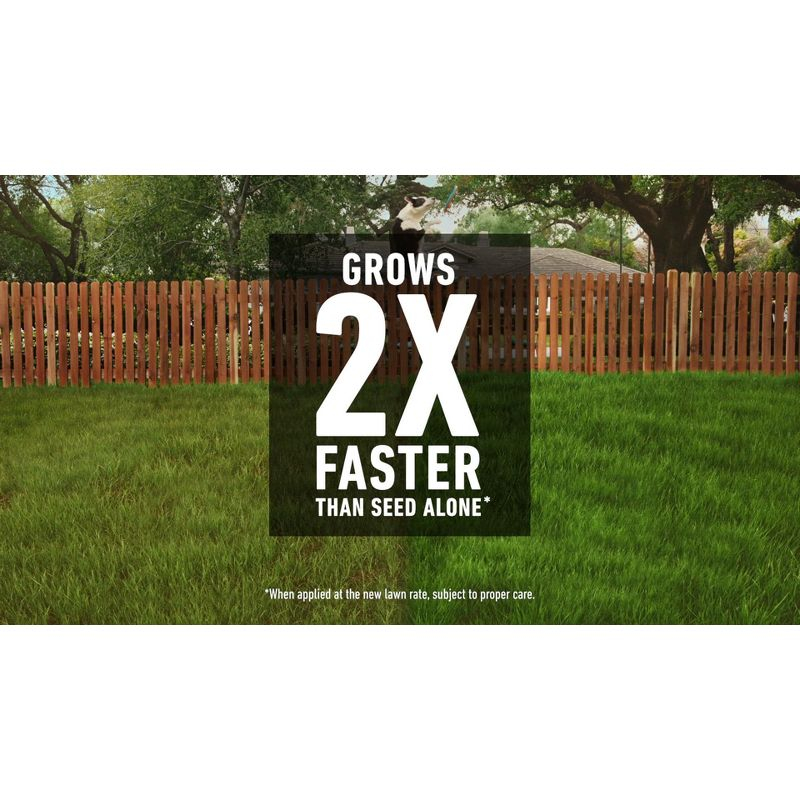 Scotts Turf Builder Rapid Grass Seed Tall Fescue Mix - 5.6lb