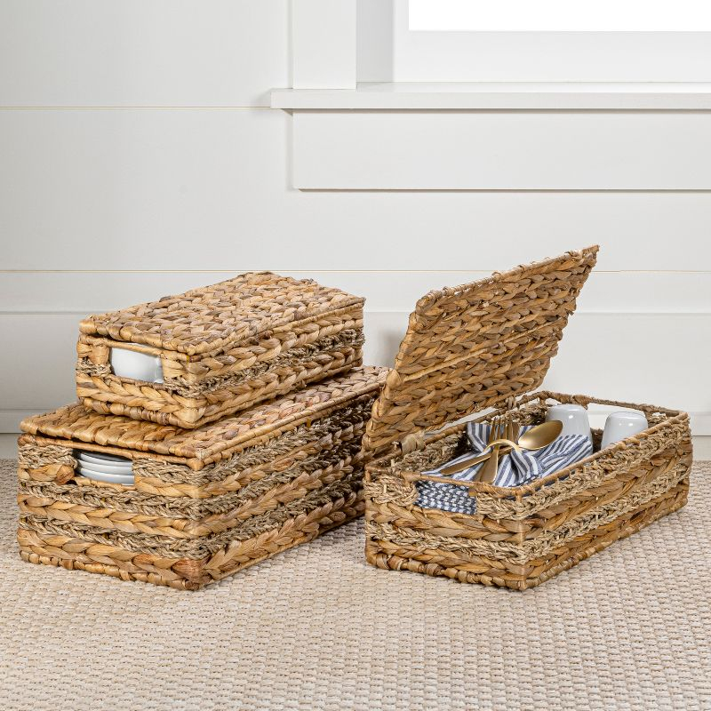 happimess Sandrine Classic Farmhouse Handwoven Hyacinth Storage Baskets with Handles and Lids, Natural (Set of 3)