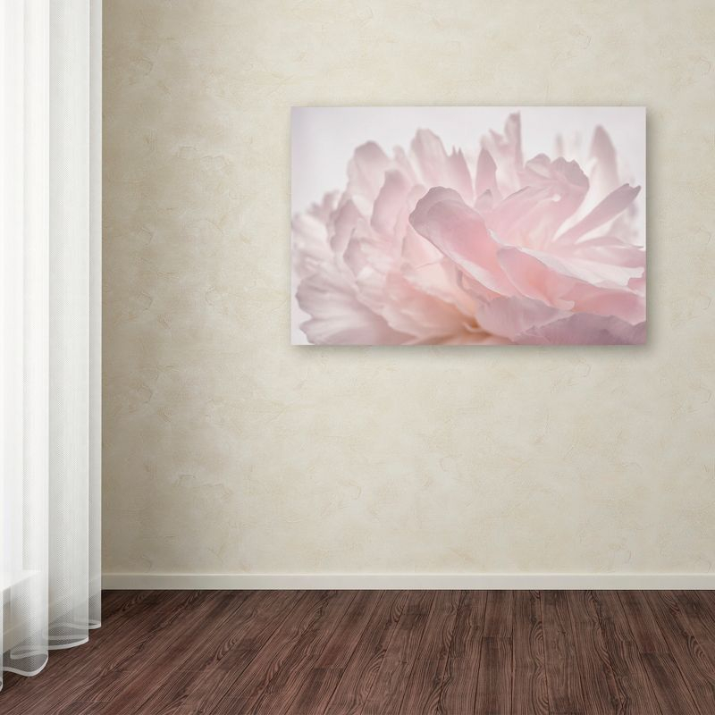 Trademark Fine Art -Cora Niele 'Pink Peony Petals V' Canvas Art - 22''x32''