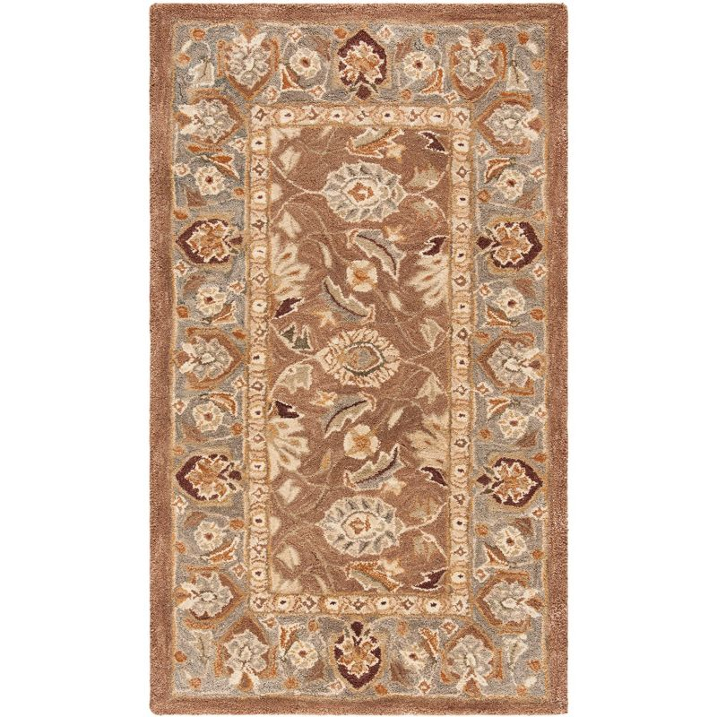 Anatolia AN549 Hand Tufted Indoor Accent Rug - Brown/Blue - 3'x5' - Safavieh