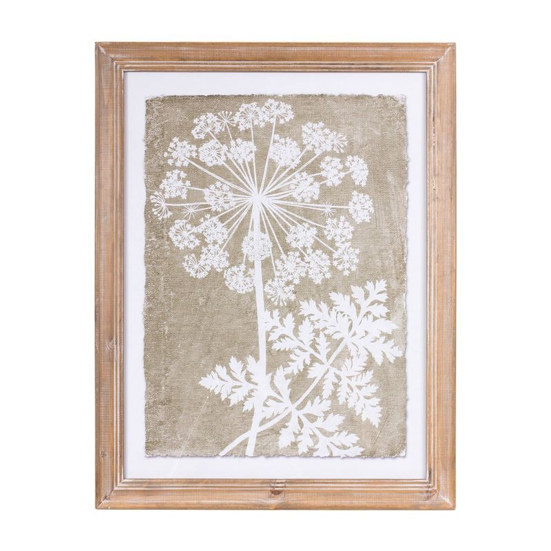 Melrose Framed Queen Anne's Lace Wall Art (Set of 2)