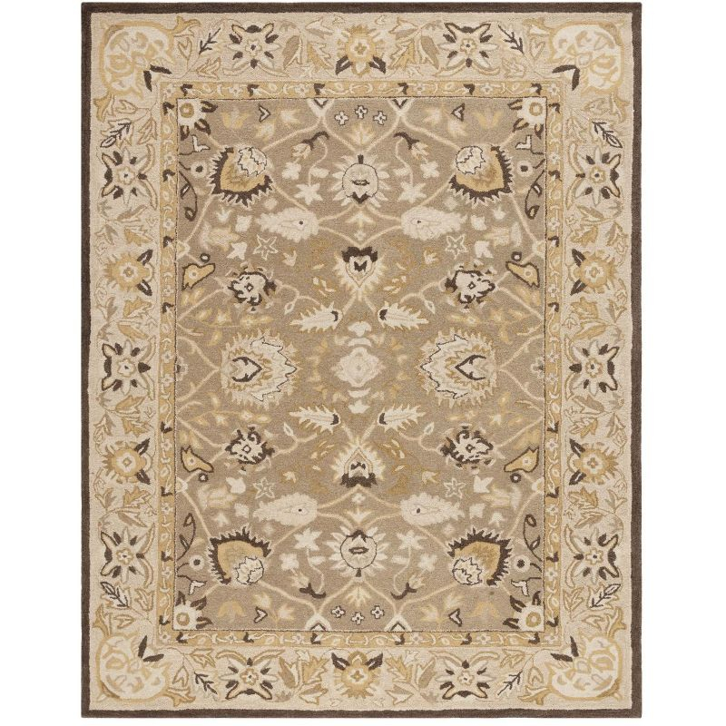Anatolia AN512 Hand Tufted Indoor Area Rug - Sage/Beige - 9'x12' - Safavieh