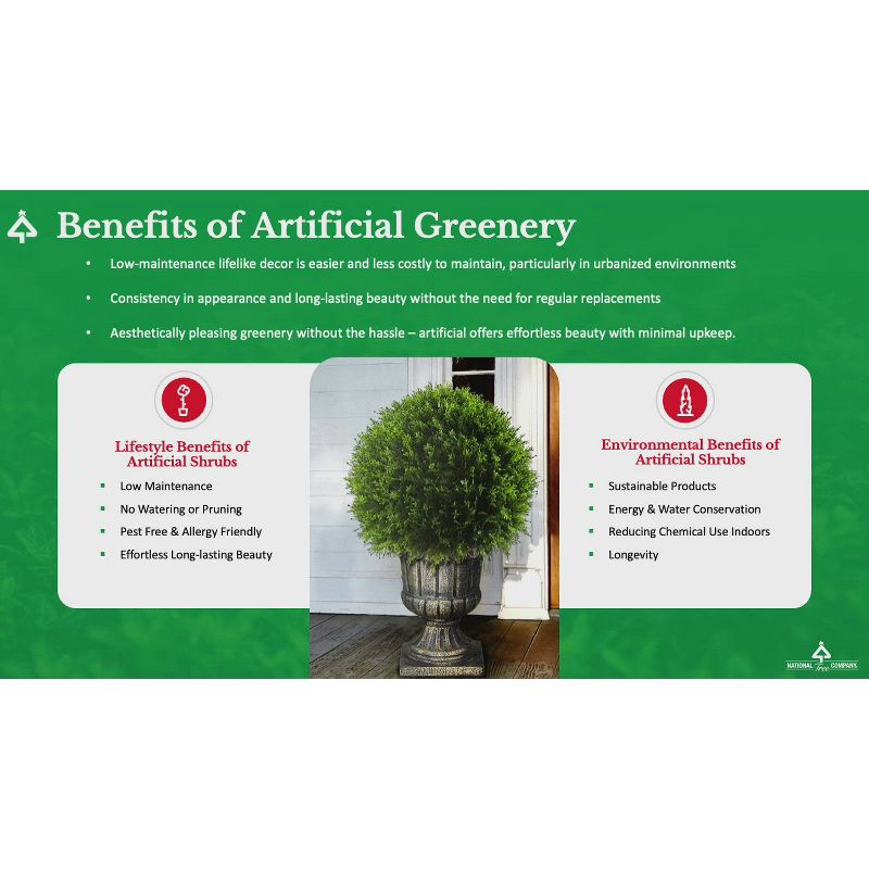 National Tree Company 50" Boxwood Spiral Topiary: Unlit, Faux, Indoor/Outdoor Decor