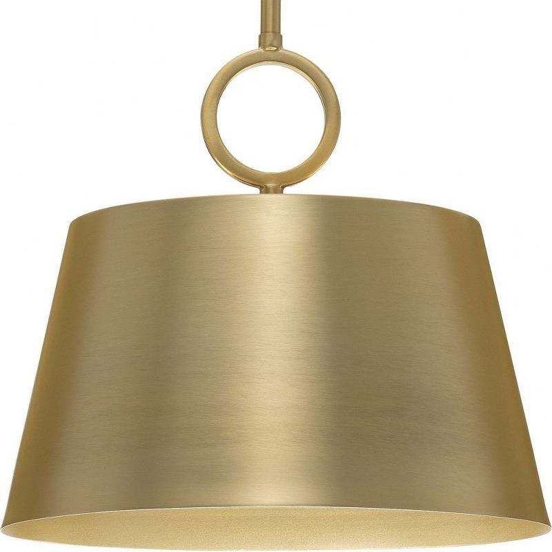 Progress Lighting Parkhurst 1-Light Dome Pendant, Brushed Bronze, Gold-Finished Interior, Steel, Dry Rated