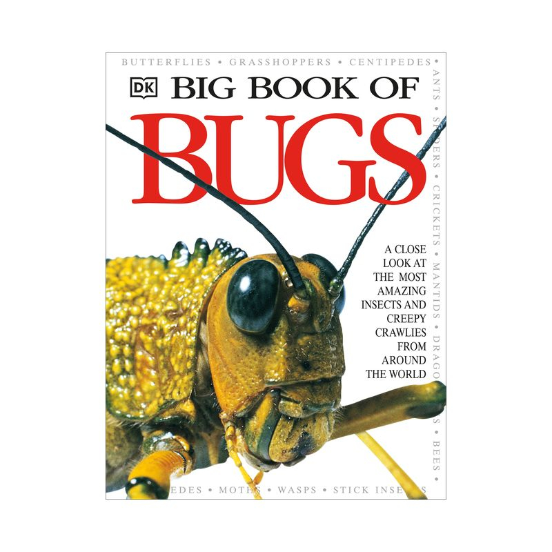 Big Book of Bugs - (DK Big Books) by  DK (Hardcover)