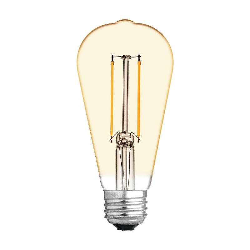 GE 2pk 60W Vintage Style ST19 LED Edison Light Bulbs Amber Glass: E26 Base, Dimmable, Warm Light, Antique Style