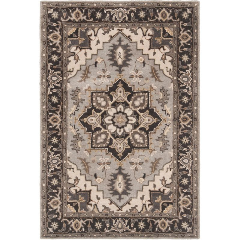 Royalty ROY700 Hand Tufted Indoor Accent Rug - 4'x6' - Silver/Charcoal - Safavieh