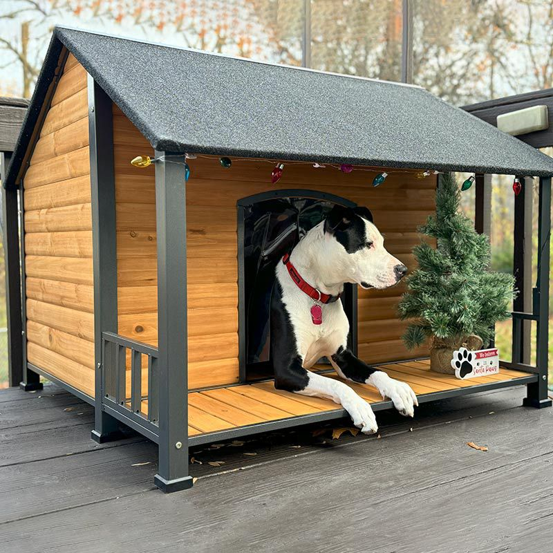 Aivituvin Weatherproof Dog House with Iron Frame| Extended Asphalt Roof|Spacious Balcony-AIR7010