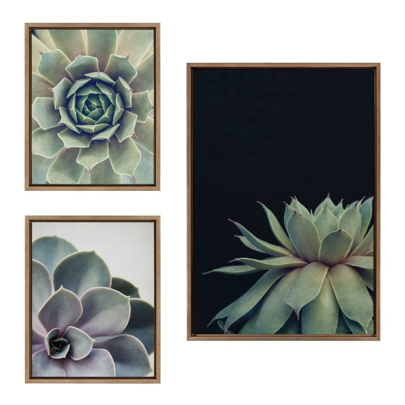 (Set of 3) 23" x 33" Sylvie Succulent Framed Canvas Set Gold - Kate & Laurel All Things Decor: Tranquil Botanical Art