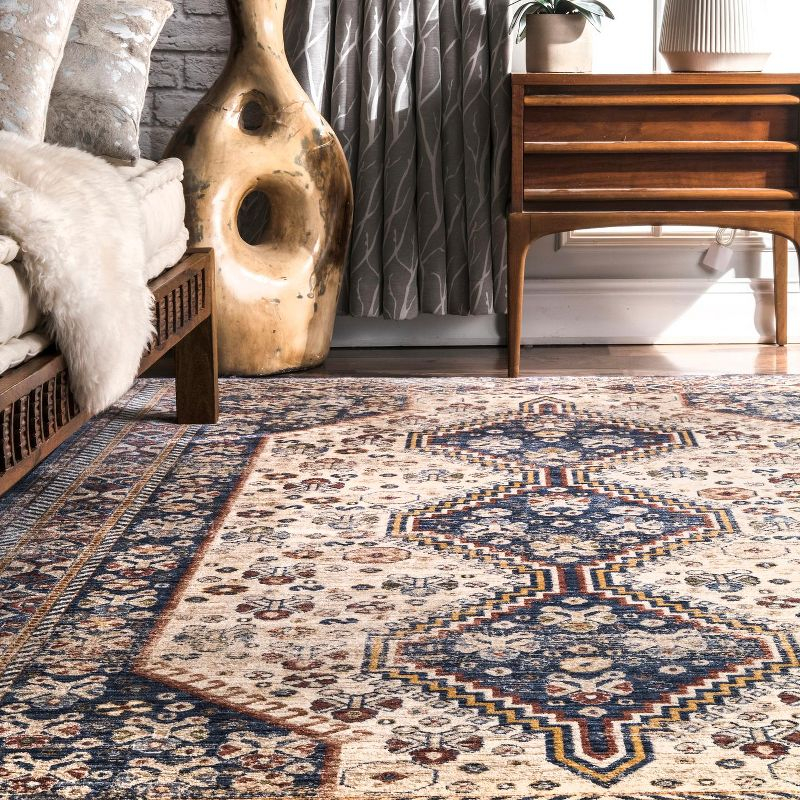 nuLOOM Vintage Idalia Overdyed Area Rug