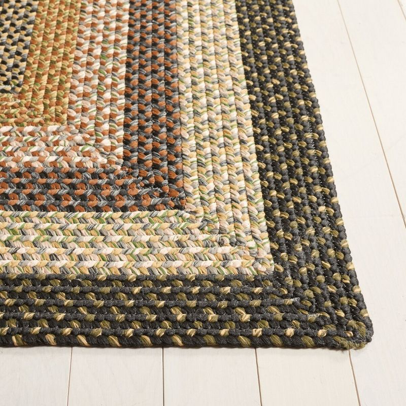 Braided BRD308 Hand Woven Area Rug - Multi - 6'x9' - Safavieh.