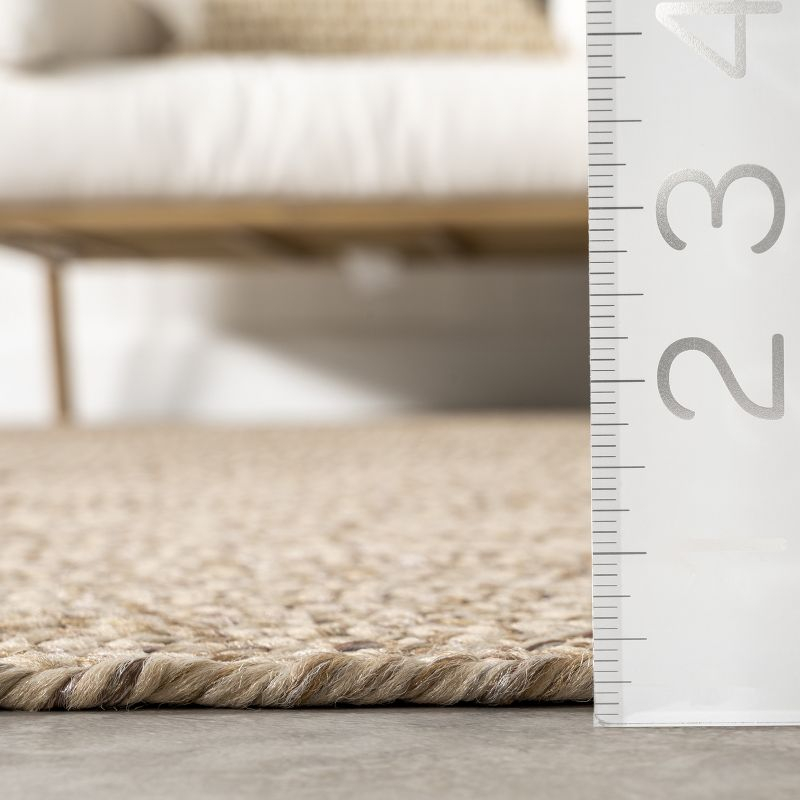 nuLOOM Wynn Braided Indoor/Outdoor Area Rug, 6' x 9', Tan