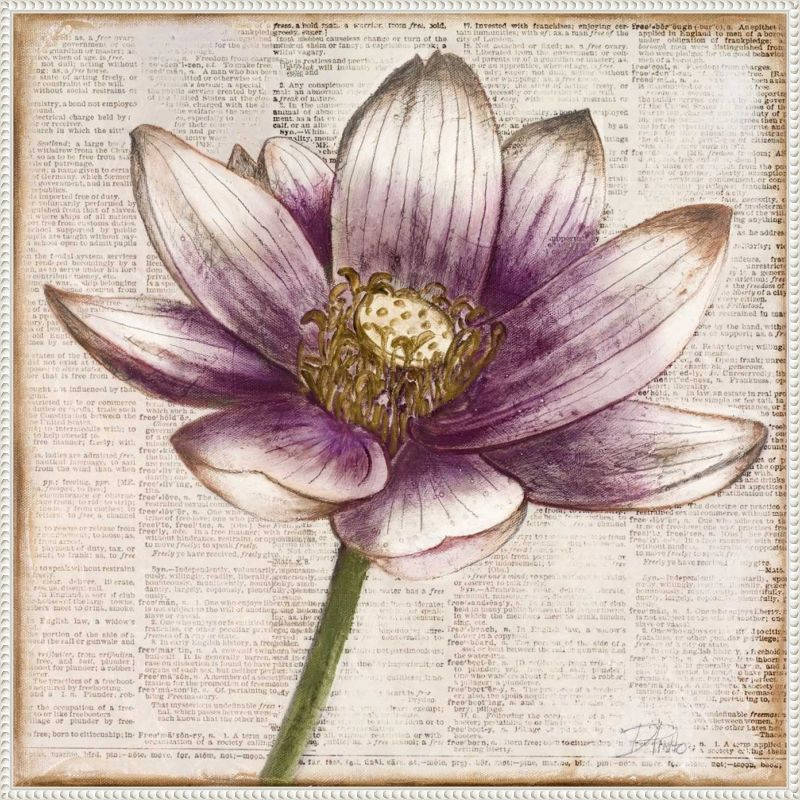 Amanti Art Defined Lotus Flower II by Patricia Pinto Canvas Wall Art Print Framed 30 x 30-in.