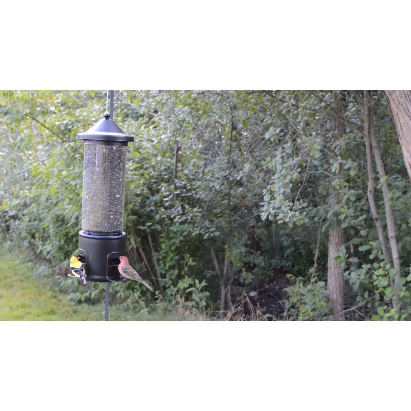 Nature's Way Bird Products 3.1qt Squirrel Shield Metal Feeder 17.25"