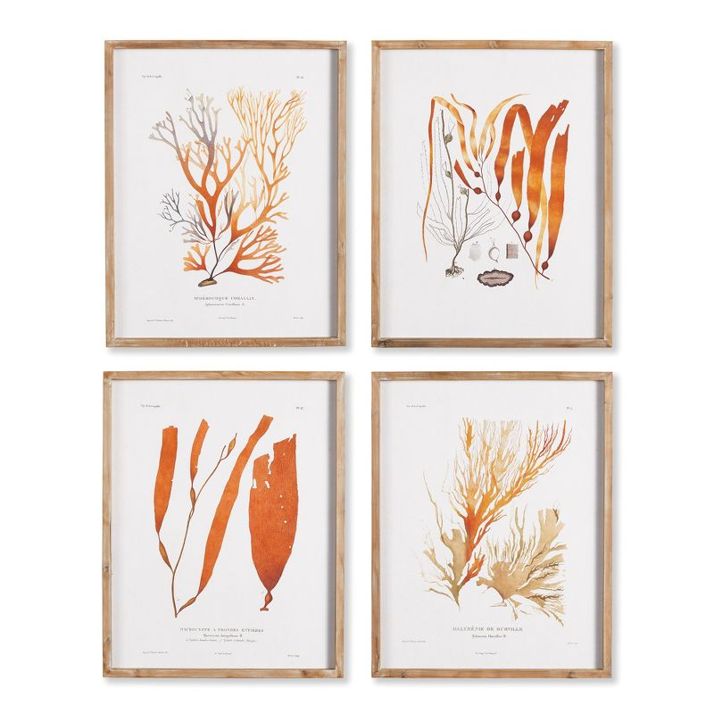 Plum & Post Coral Reef Study Set of 4
