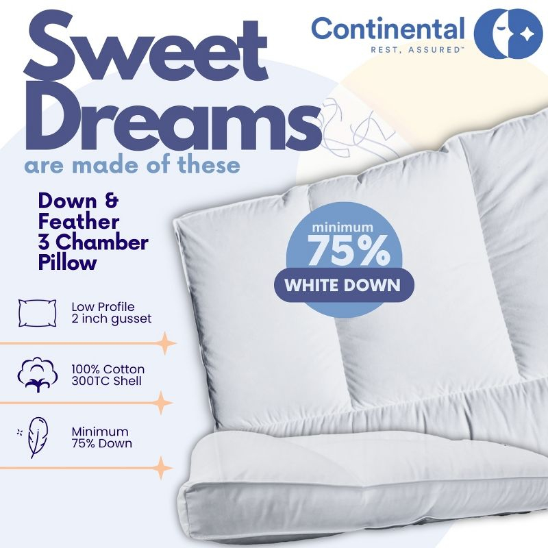 Continental Bedding 3-Chamber Down Pillow - Thin Profile with Partial Pressure Design, 2” Gusset & Sateen Piping, 100% Cotton – Standard, Queen, King