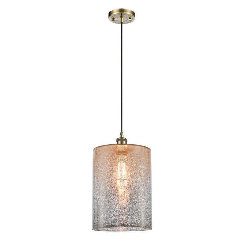 Cobbleskill 1 - Light Single Drop Pendant Pendant