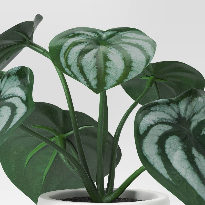 5.5" Mini Tabletop Peperomia  Artificial Plant - Threshold™