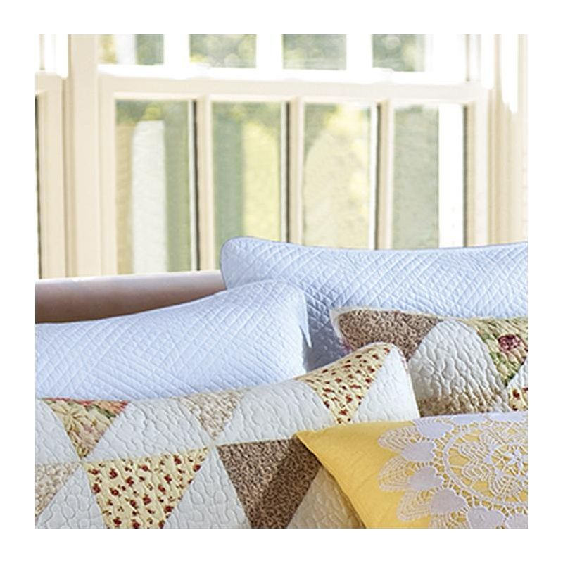 C&F Home 20" x 26" Norah Std Sham - Machine Washable