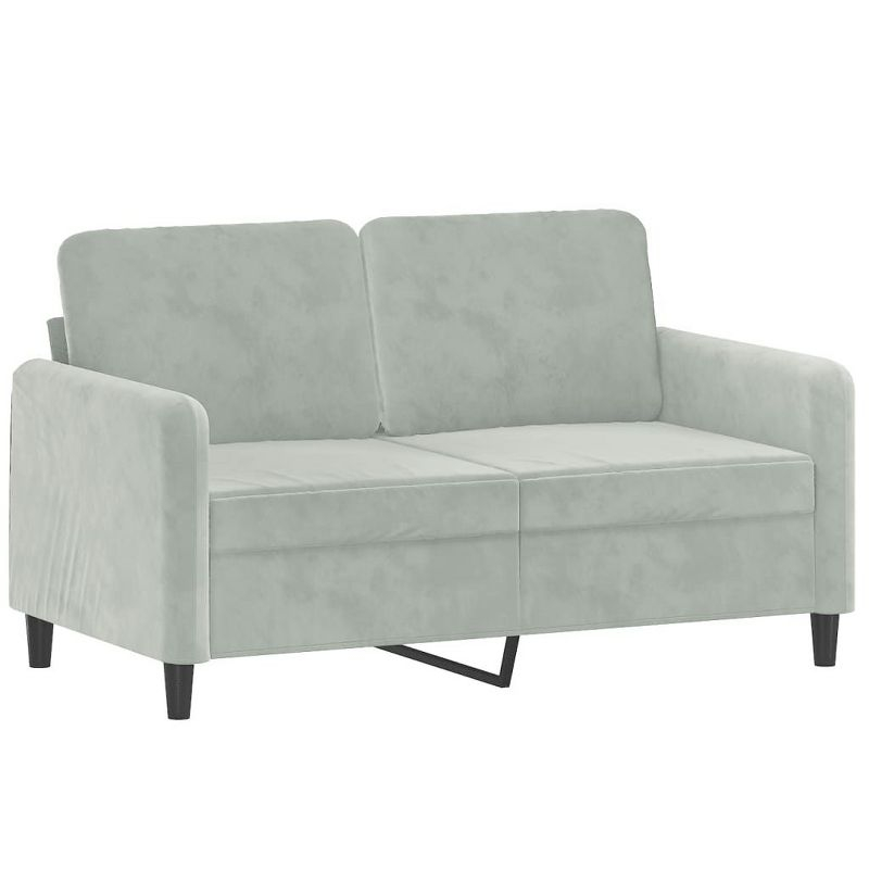 vidaXL 2 Piece Sofa Set in Light Gray Velvet - Comfortable Seating with Thick Padding and Durable Material for Living Room or Office Space