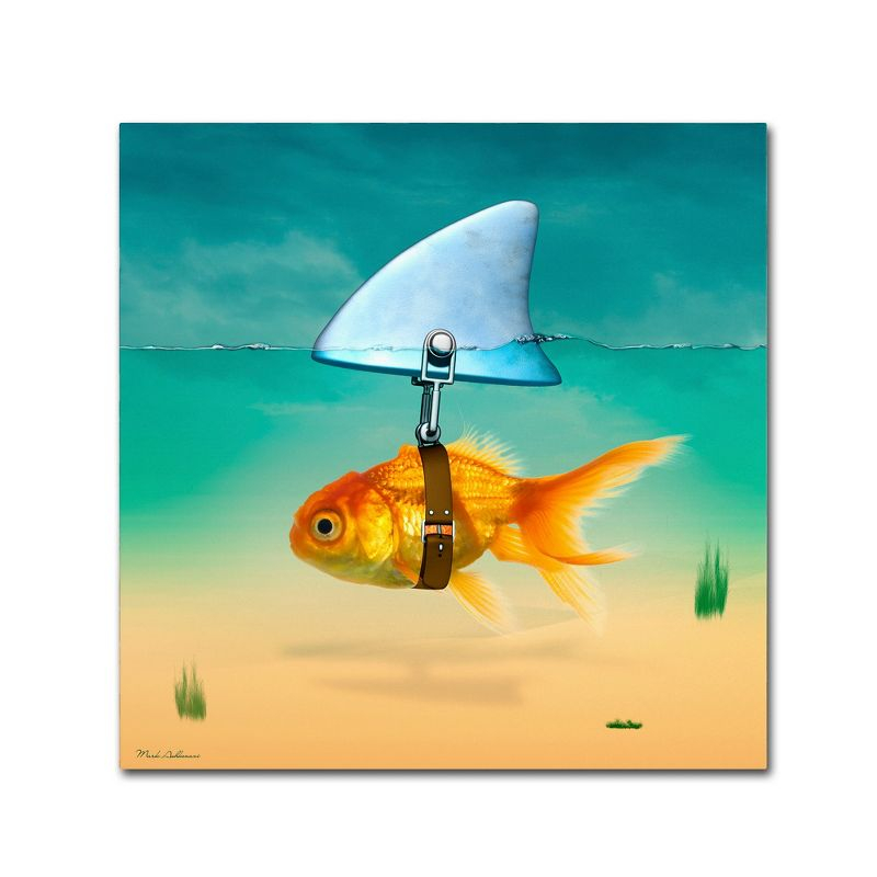 Trademark Fine Art - 14"x14" Mark Ashkenazi 'Gold Fish' Canvas Art
