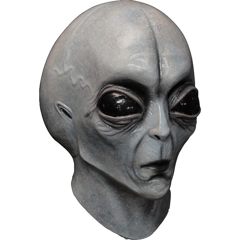 Ghoulish Adult Area 51 Costume Mask - 14 in. - Gray