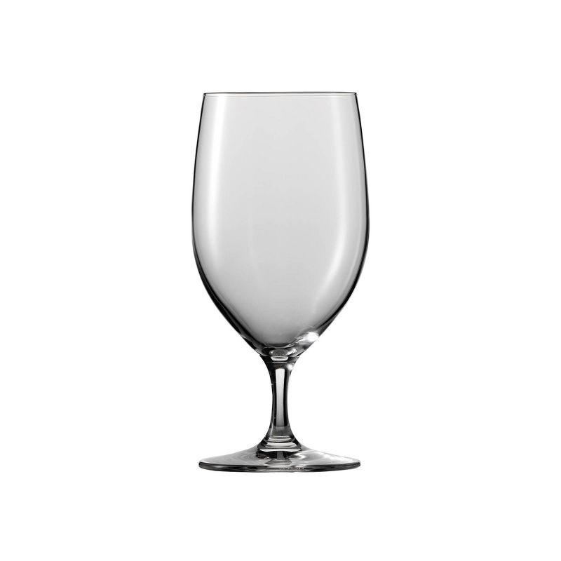 Forte Tritan 15 oz. Glass Goblet (Set of 6)