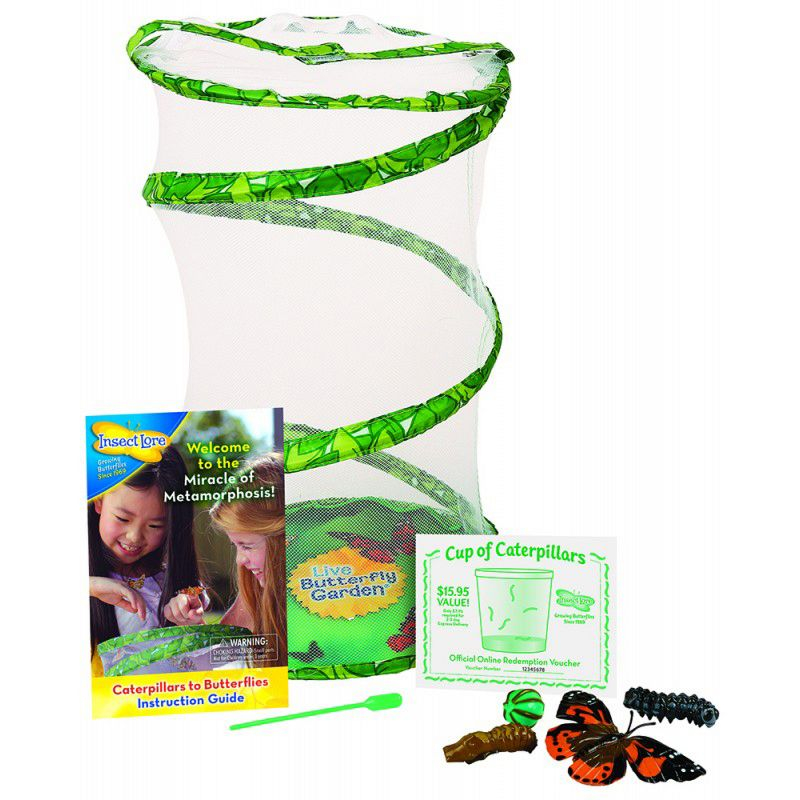 Insect Lore Giant Butterfly Garden® Deluxe Growing Kit - Stem Butterfly Kit w/ Live Caterpillars