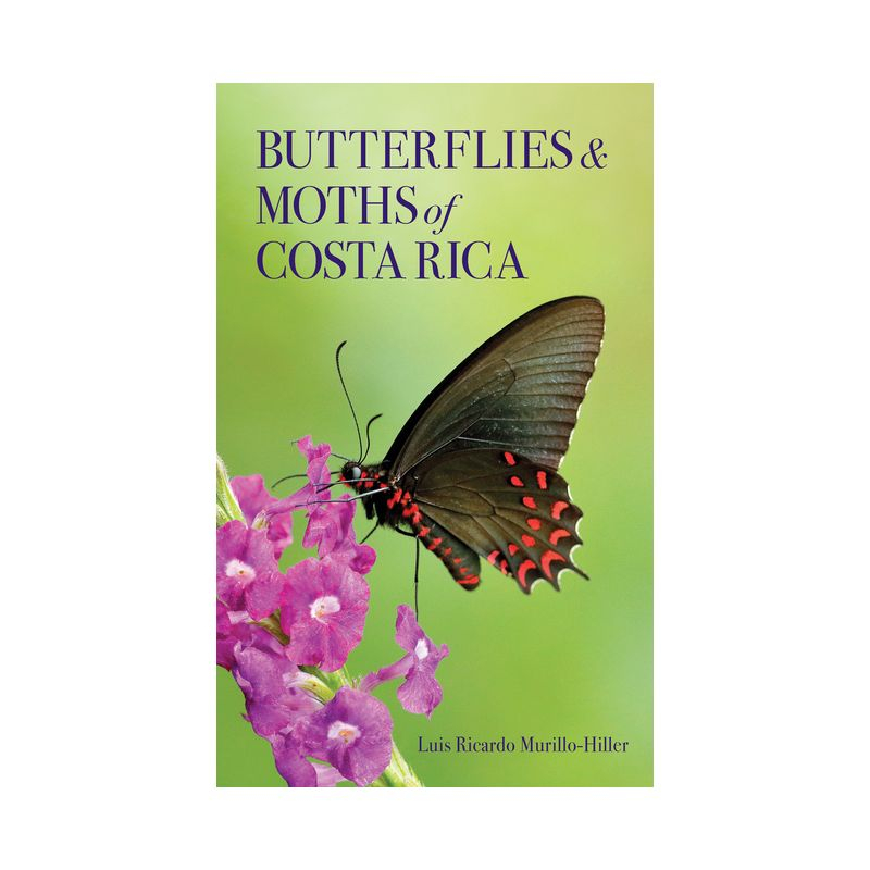Butterflies and Moths of Costa Rica - (Zona Tropical Publications / Antlion Media) by  Luis Ricardo Murillo-Hiller (Paperback)