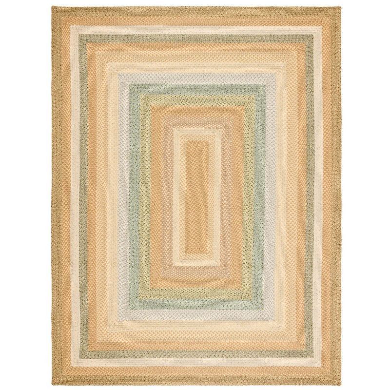 Braided BRD314 Hand Woven Area Rug - Tan/Multi - 8'x10' - Safavieh.