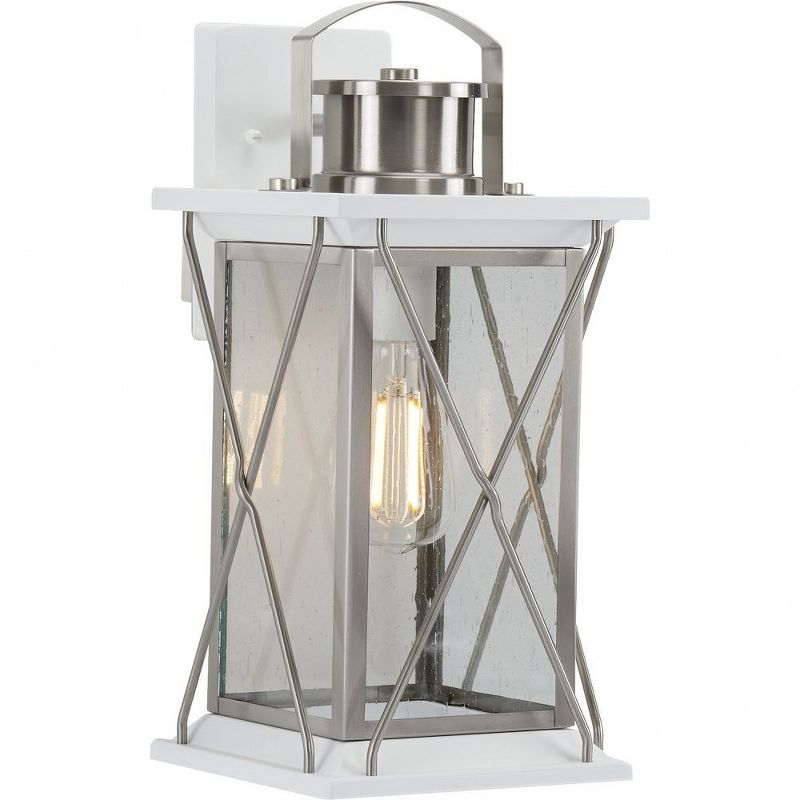 Progress Lighting Barlowe 1-Light Outdoor Wall Lantern in Stainless Steel with Clear Seeded Glass