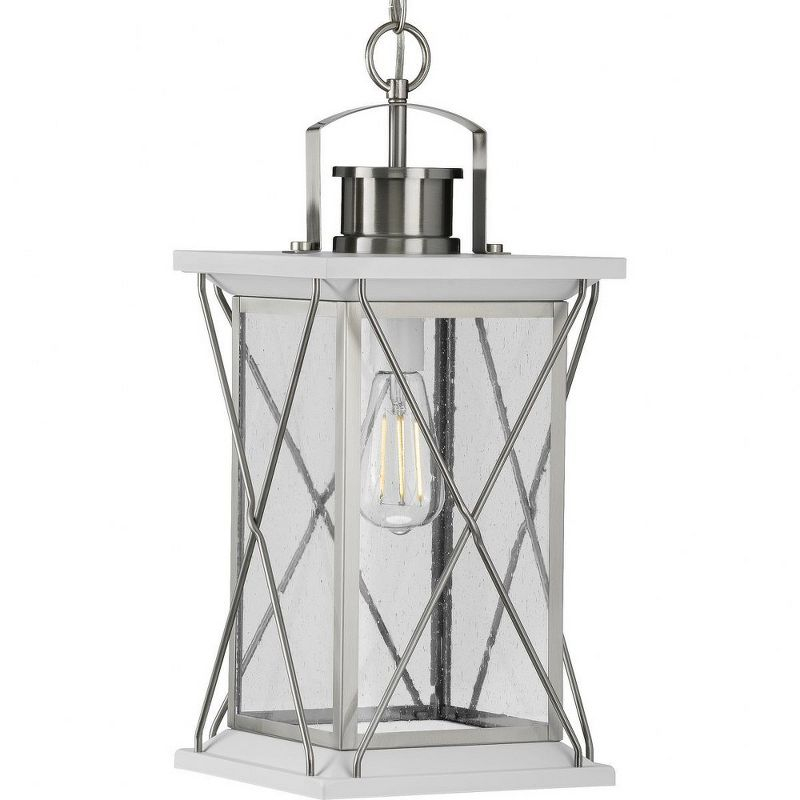 Progress Lighting Barlowe 1-Light Outdoor Hanging Lantern, Stainless Steel, Seeded Glass