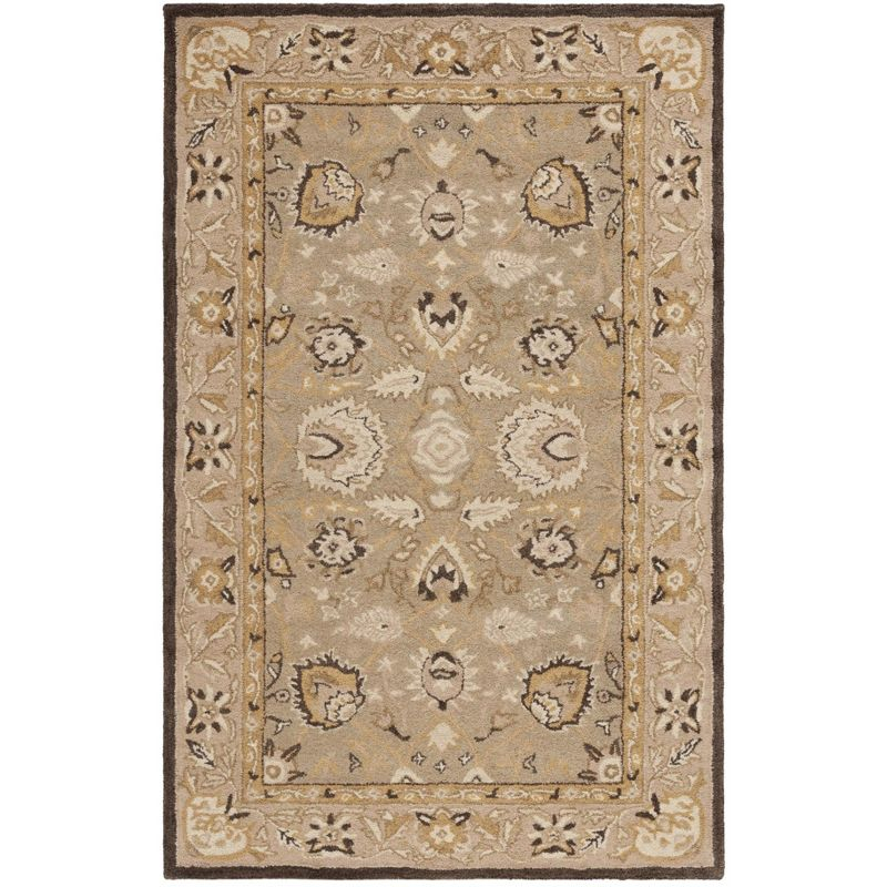 Anatolia AN512 Hand Tufted Indoor Area Rug - Sage/Beige - 4'x6' - Safavieh