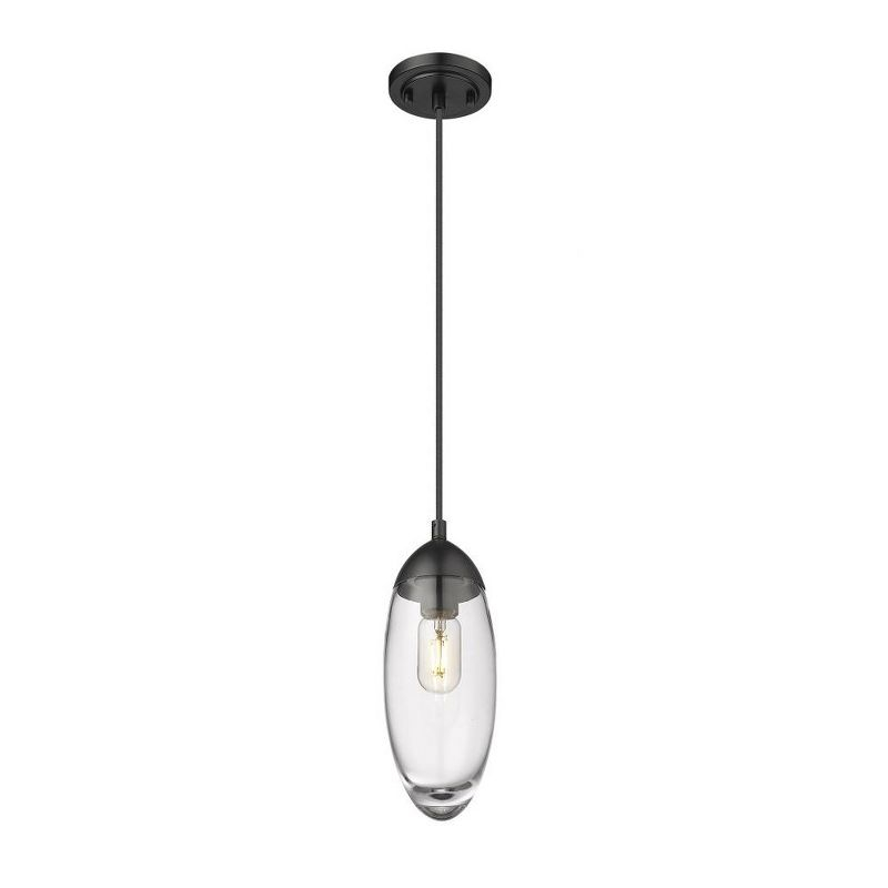 Z-Lite Arden 1 - Light Pendant in  Matte Black