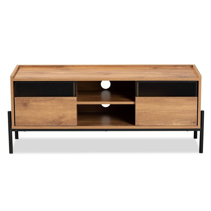Tasman Wood and Metal 2 Door TV Stand for TVs up to 45" Natural Brown/Black - Baxton Studio