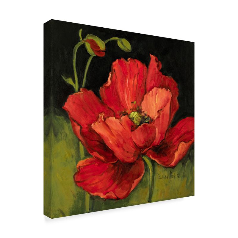 Trademark Fine Art - Barbara Mock ' Poppy Blossom' Canvas Art - 35x35