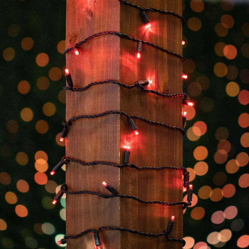 Novelty Lights Red 100 LED Christmas Mini Light Set (Black Wire, 34 Feet)