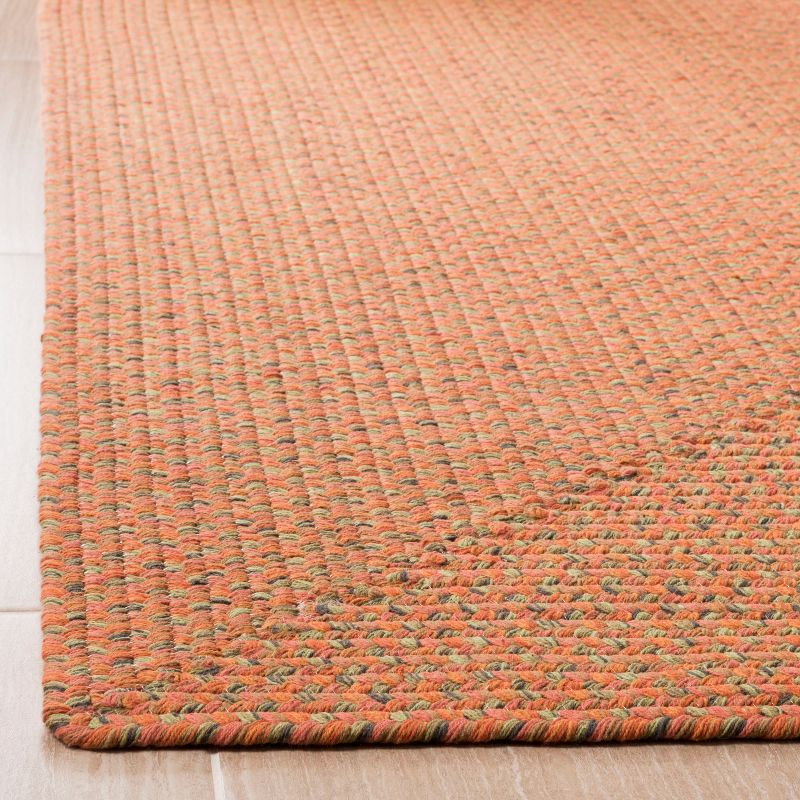 Braided BRD166 Hand Woven Indoor Area Rug - Multi - 8'x10' - Safavieh