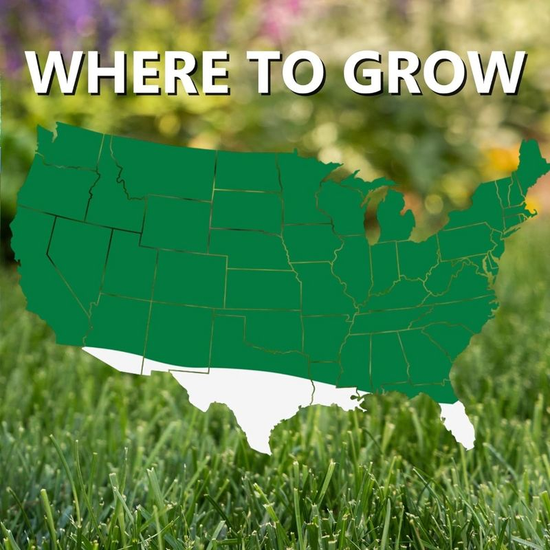 Jonathan Green Touch-Up TRI-RYE Perennial Ryegrass Blend, 25lb