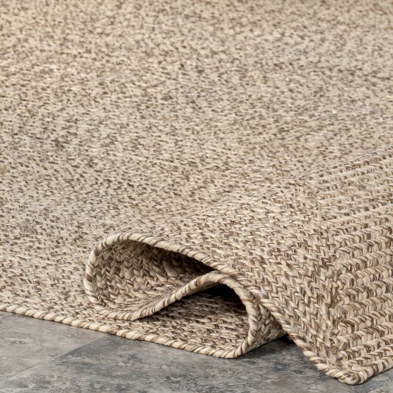 nuLOOM Wynn Braided Indoor/Outdoor Area Rug, 6' x 9', Tan
