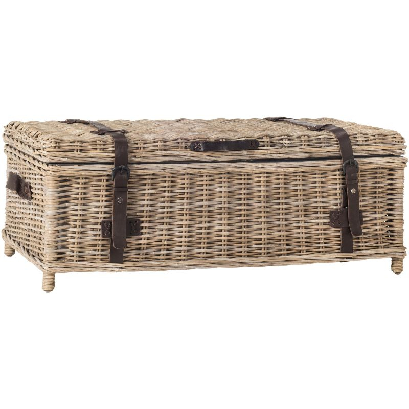 Navarro Rattan Coffee Table Trunk - Grey - Safavieh