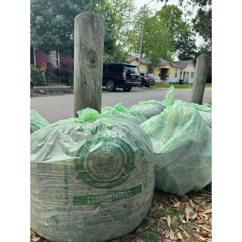 BioBag Compostable Lawn & Leaf Trash Bags - 33gal/10ct