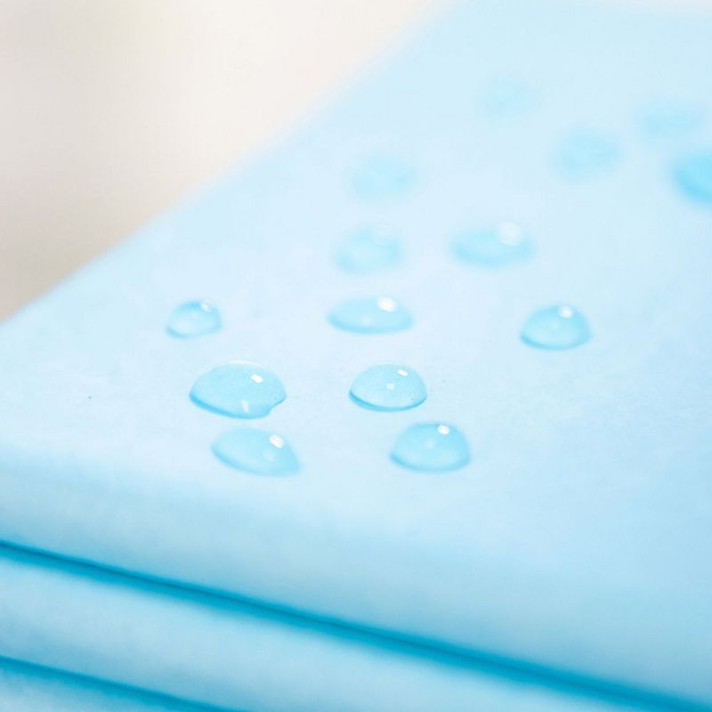 Puppy Pee Pads Potty Training Disposable Pad 22" x 22" 100 Pcs