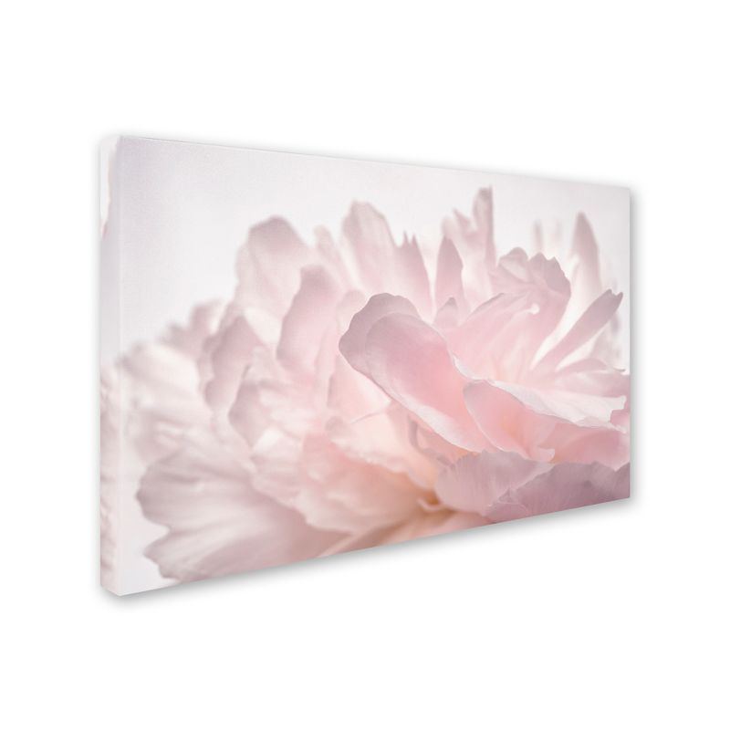 Trademark Fine Art -Cora Niele 'Pink Peony Petals V' Canvas Art - 22''x32''