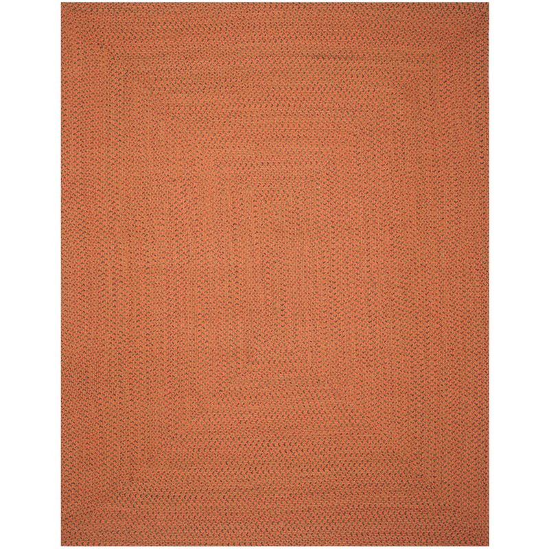 Braided BRD166 Hand Woven Indoor Area Rug - Multi - 8'x10' - Safavieh