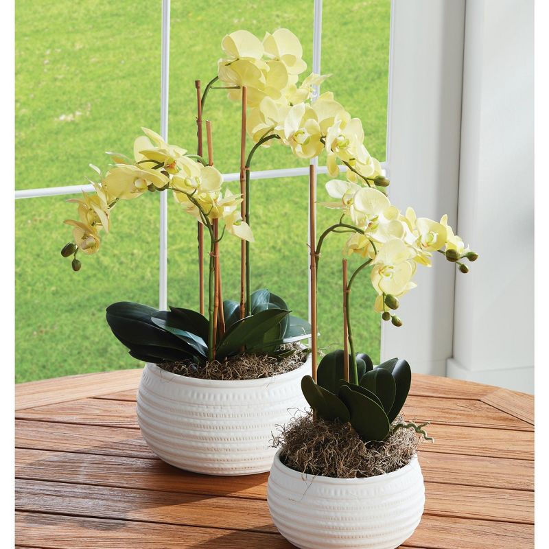 Plum & Post Phalaenopsis Orchid Artificial Plant Drop-In